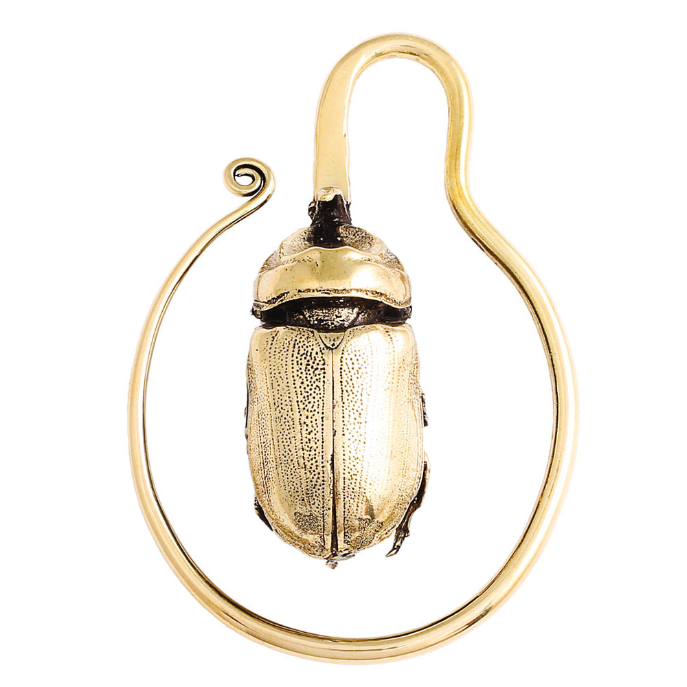 Beetle Ear Weights Brass