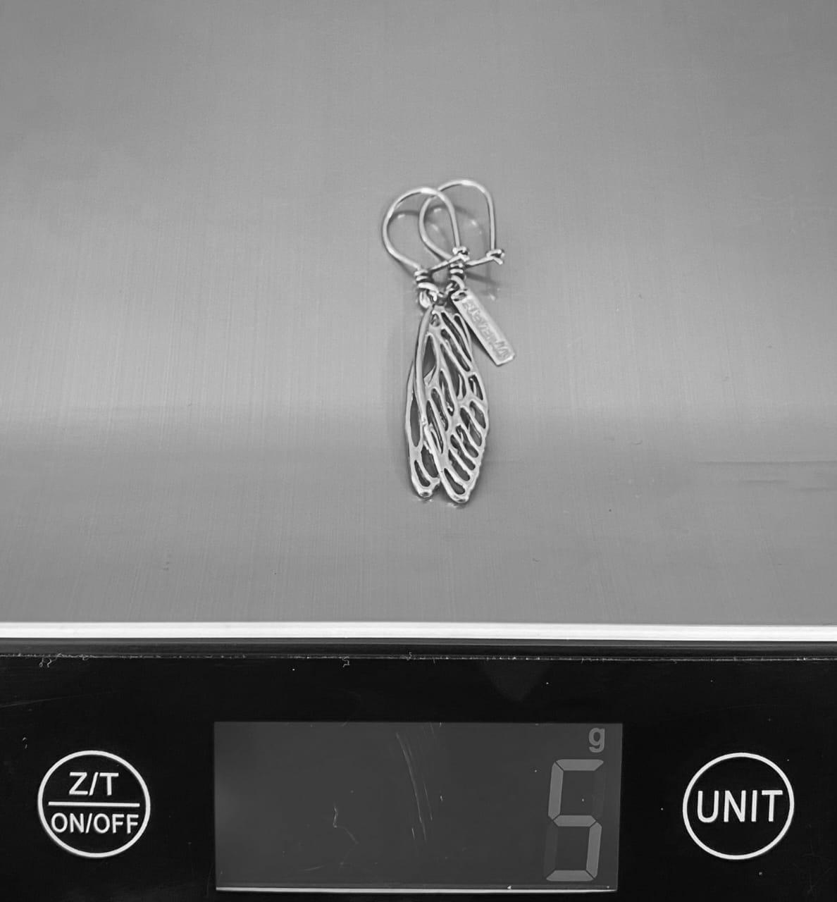 Cicada Wing Earrings Silver - eleven44