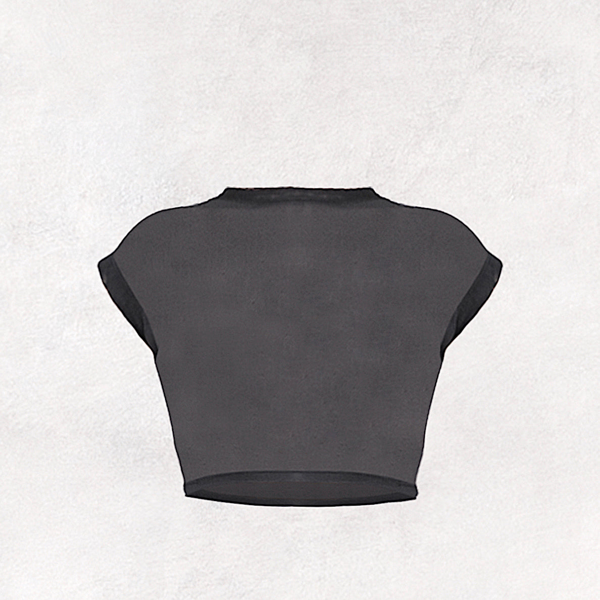 Mesh Crop Top