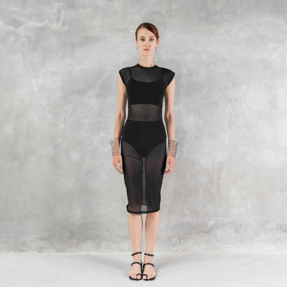 Mesh Sheath Dress