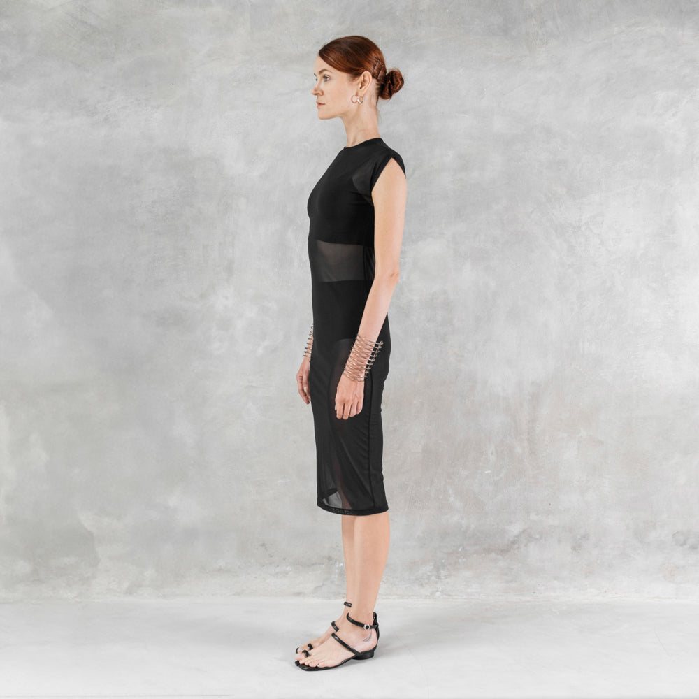 Mesh Sheath Dress