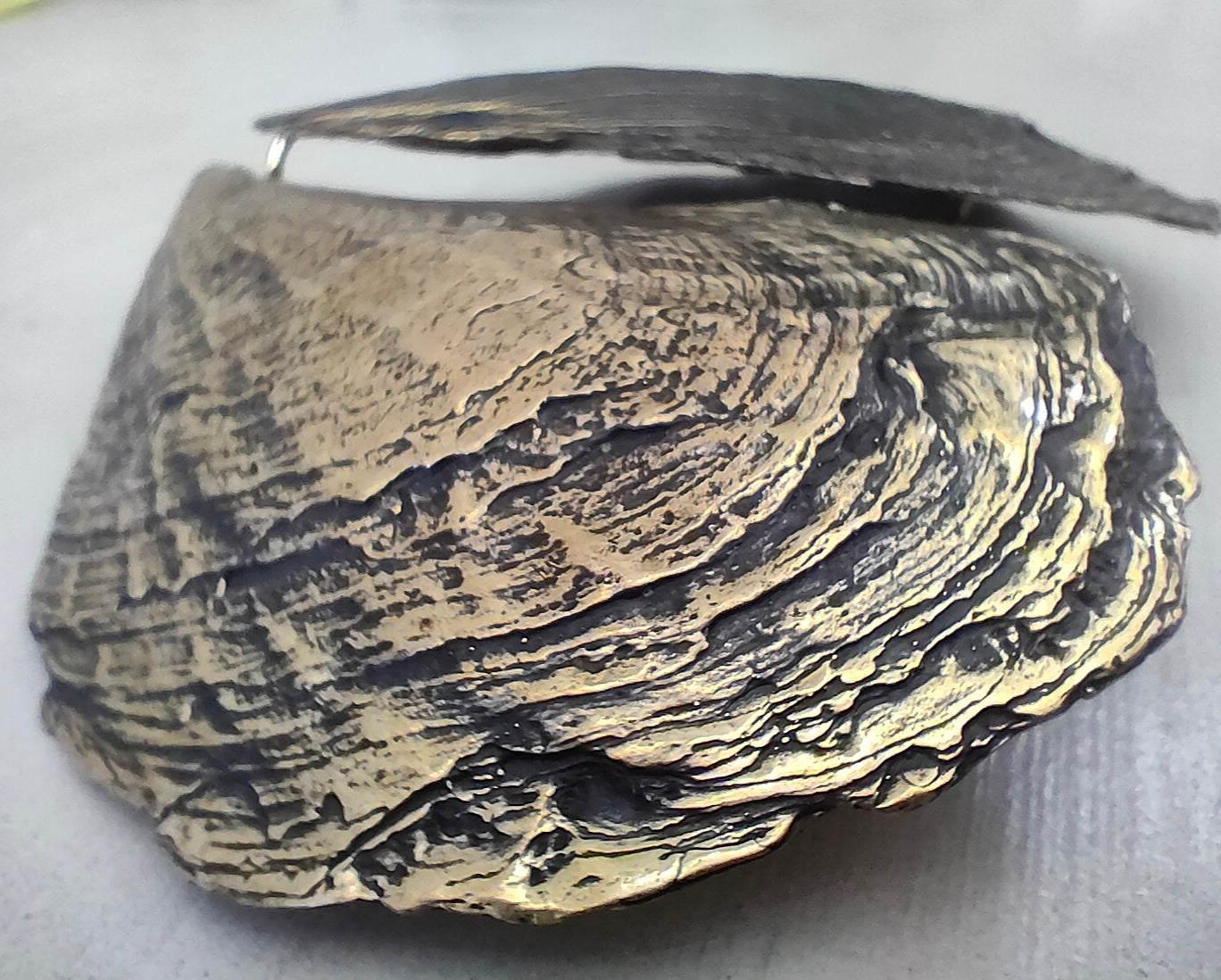 Oyster Shell Weights Brass