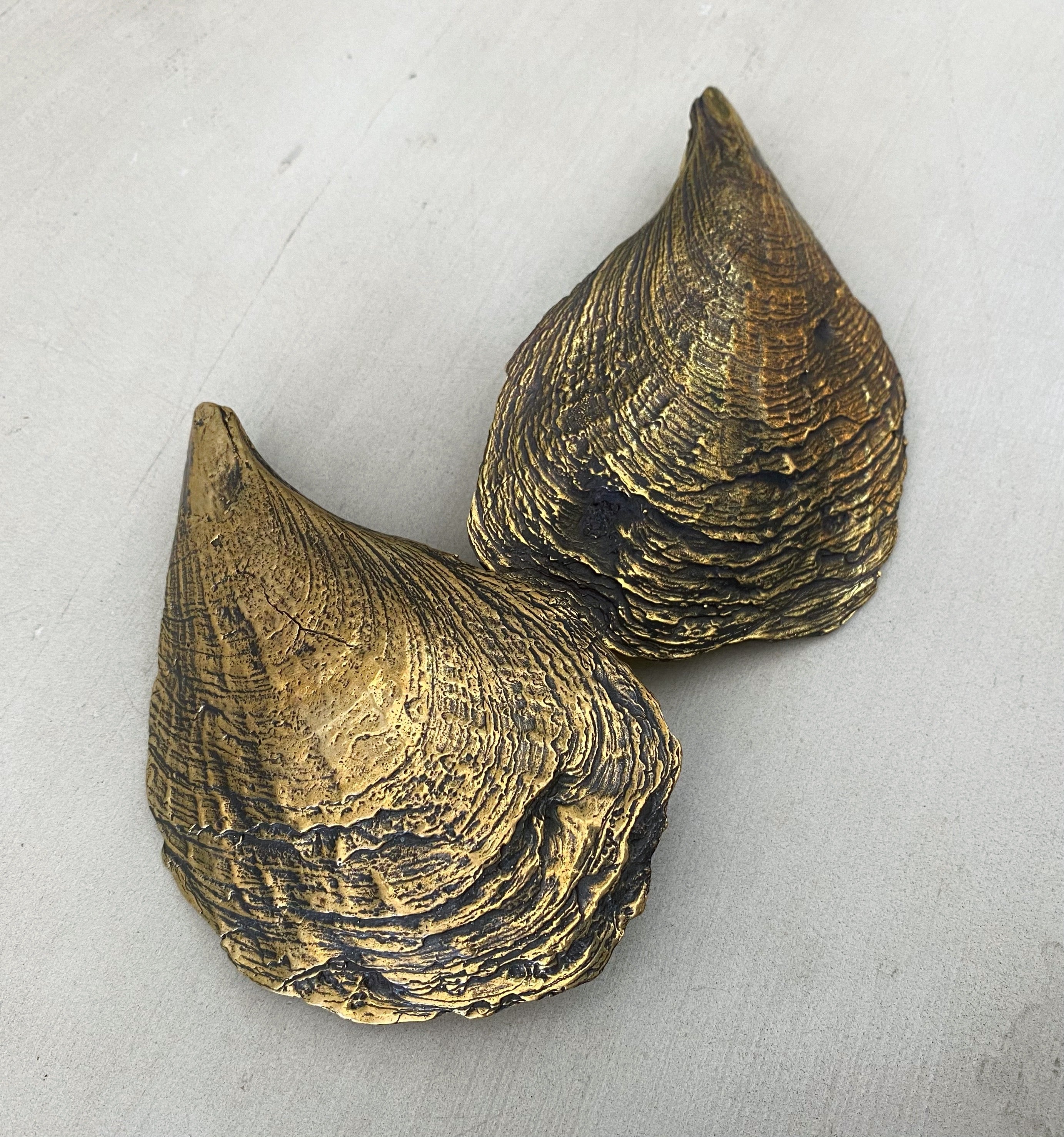 Oyster Shell Weights Brass