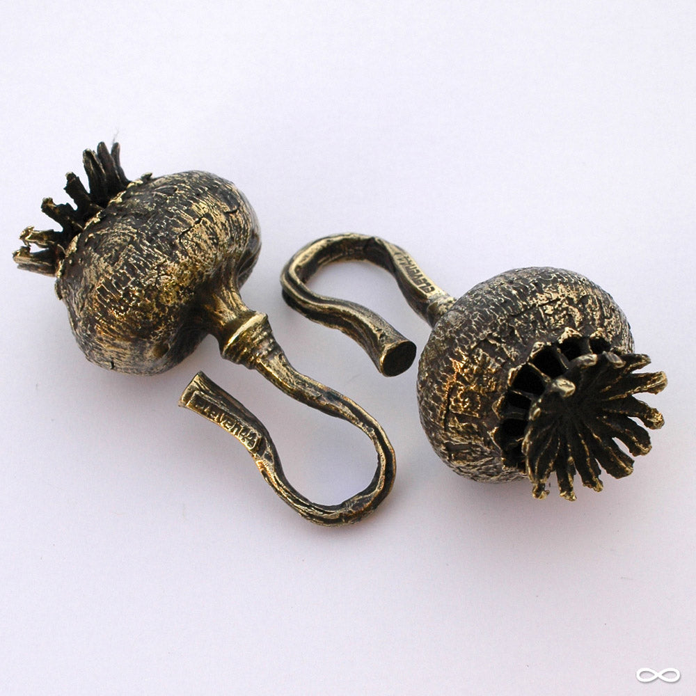 Poppy Pod Ear Weights Brass Large