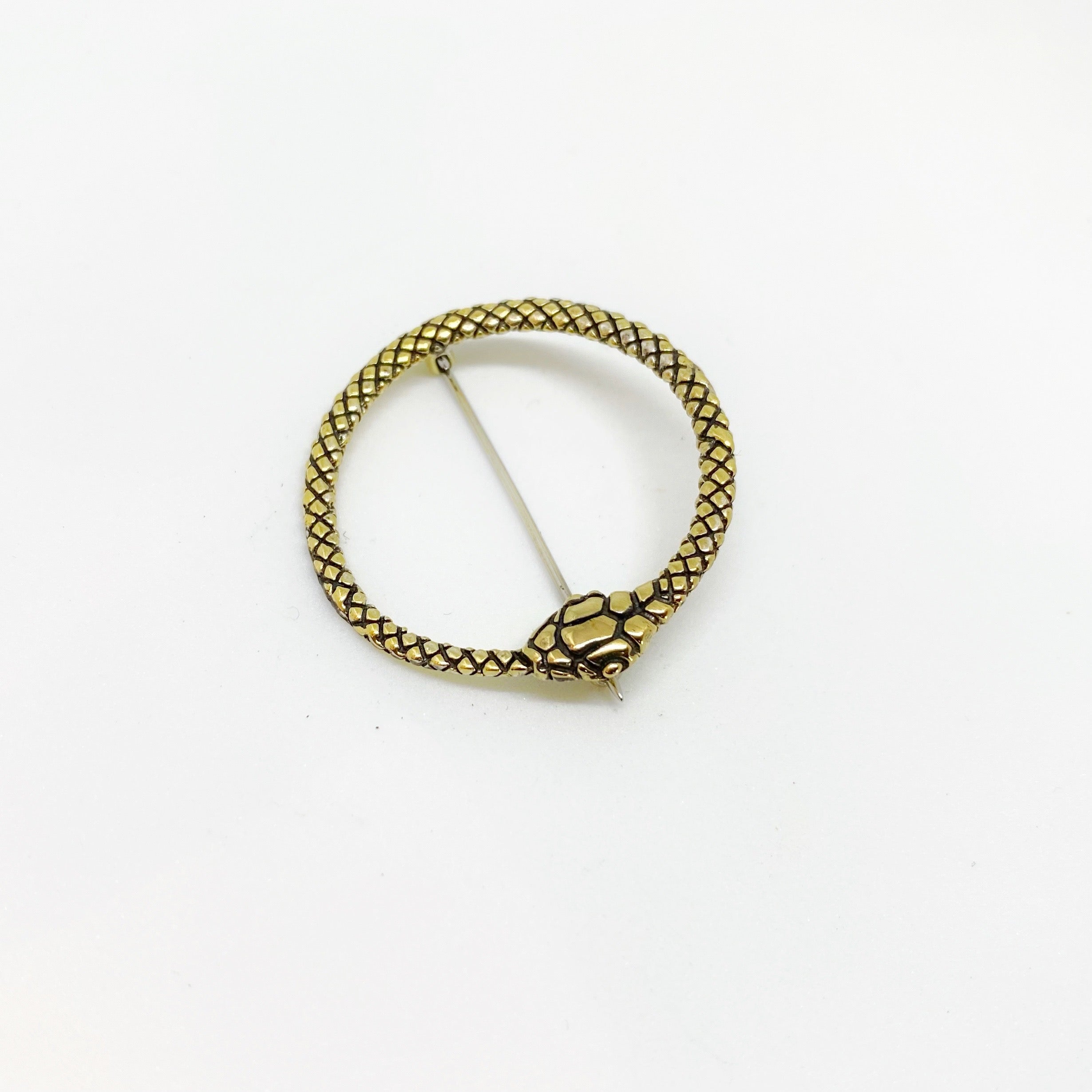 Snake Pin Brass