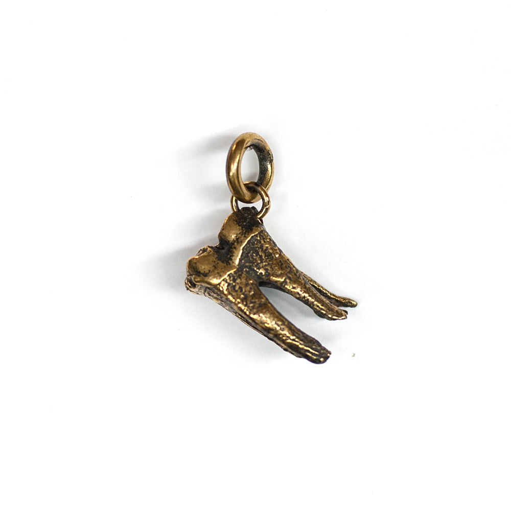 Tooth Pendant Brass