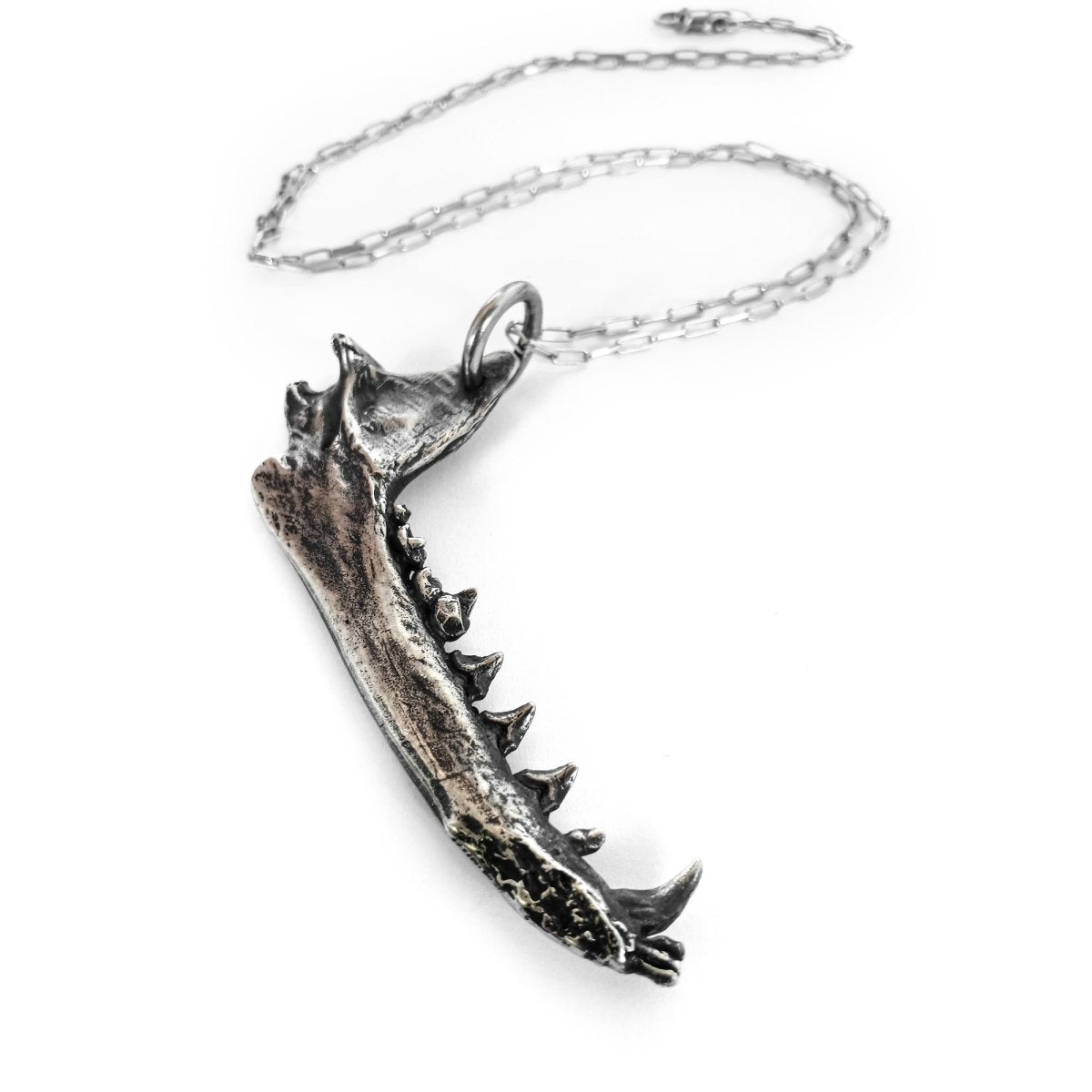 Coyote Pendant Chain Silver - eleven44