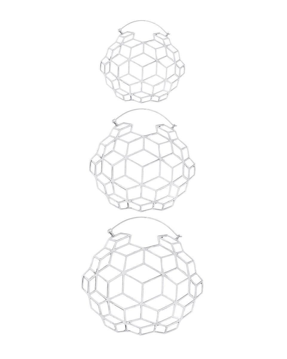 Globe Hoops Silver - eleven44