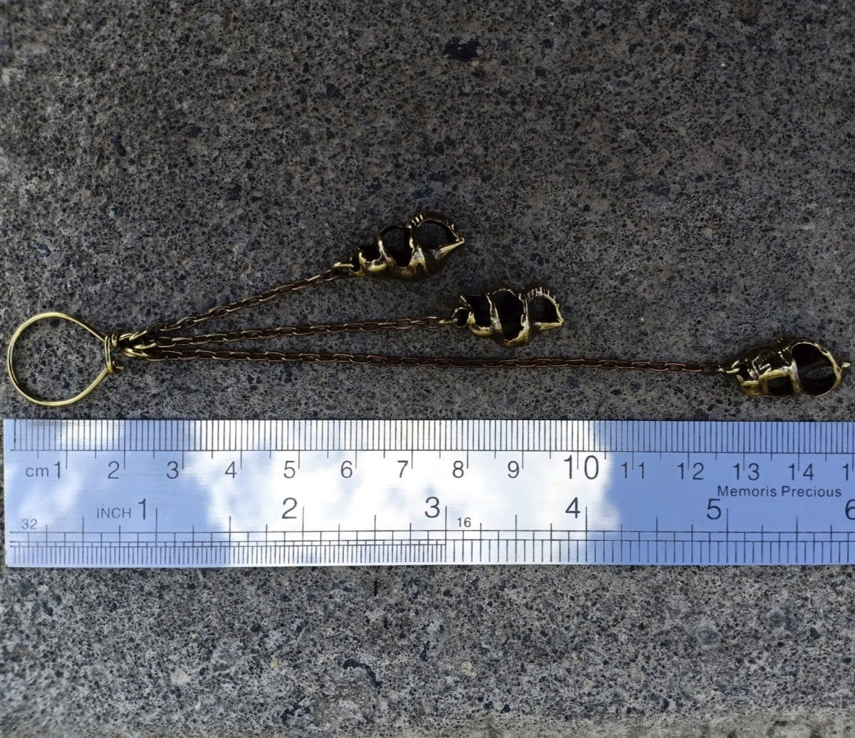 Shell Triple Earrings - eleven44