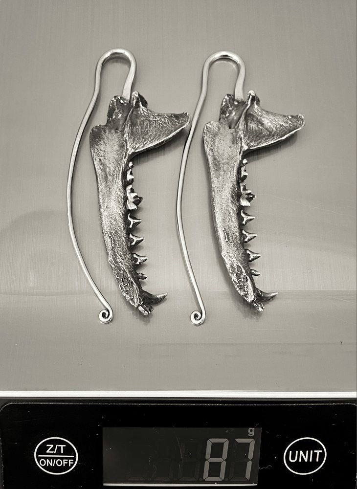 Coyote Jaw Weights Silver - eleven44
