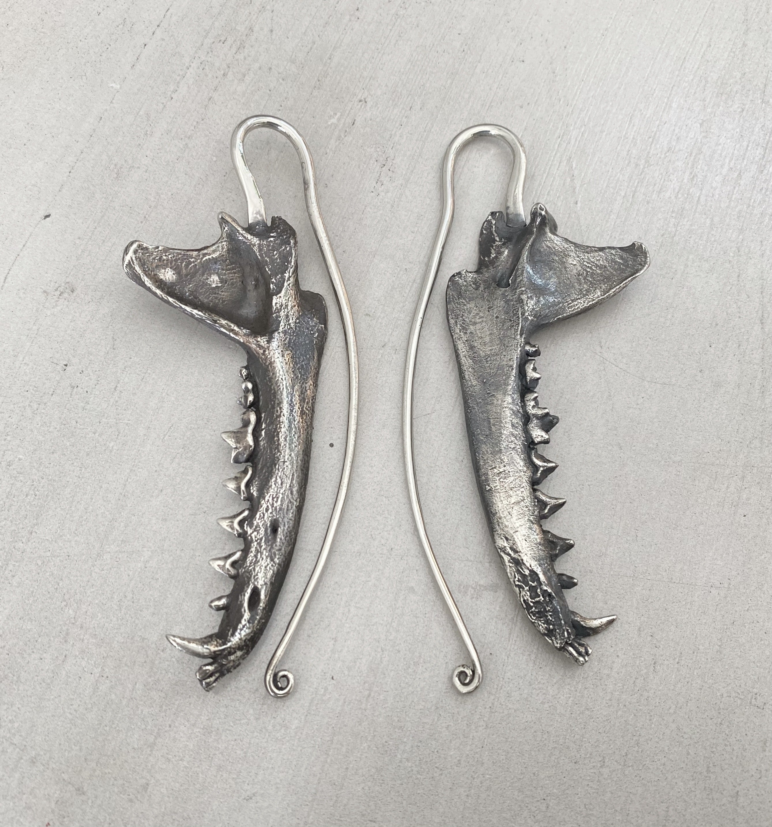 Coyote Jaw Weights Silver