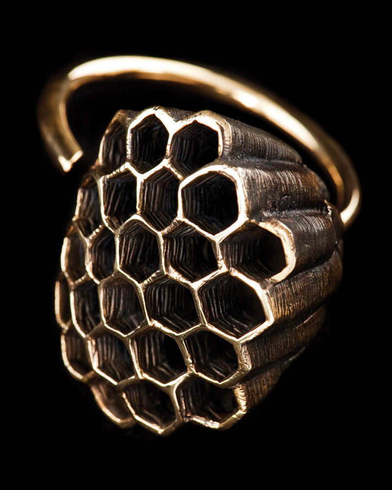 Honeycomb Ear Weights Brass