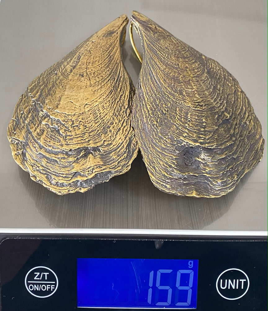 Oyster Shell Weights Brass – eleven44