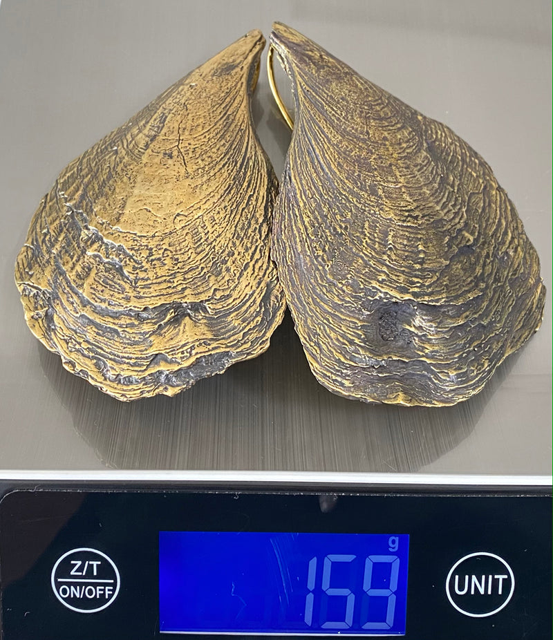 Oyster Shell Weights Brass