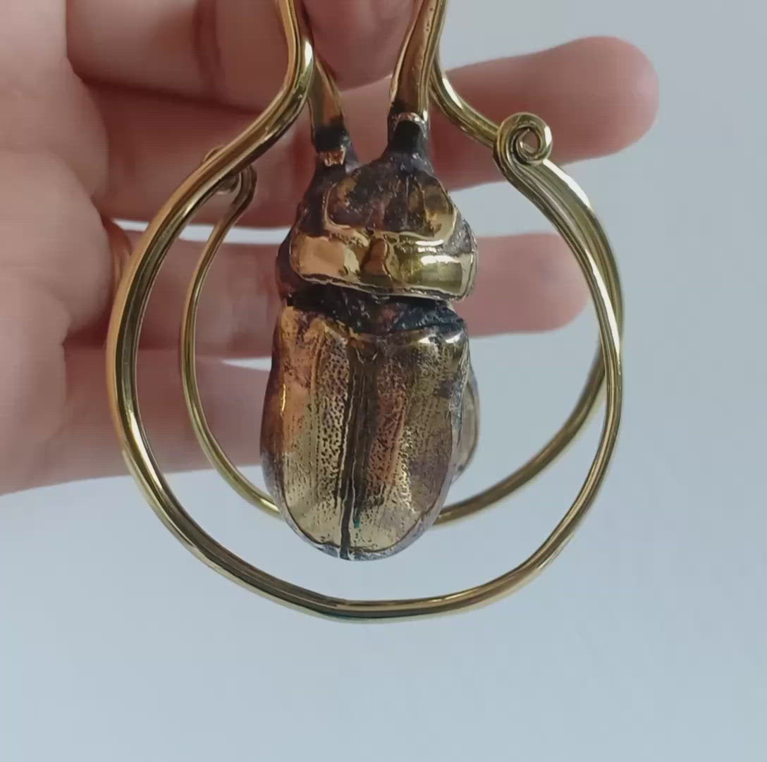 Stag beetle ear good weights, brass ear weights, insect ear hanger,guage earring