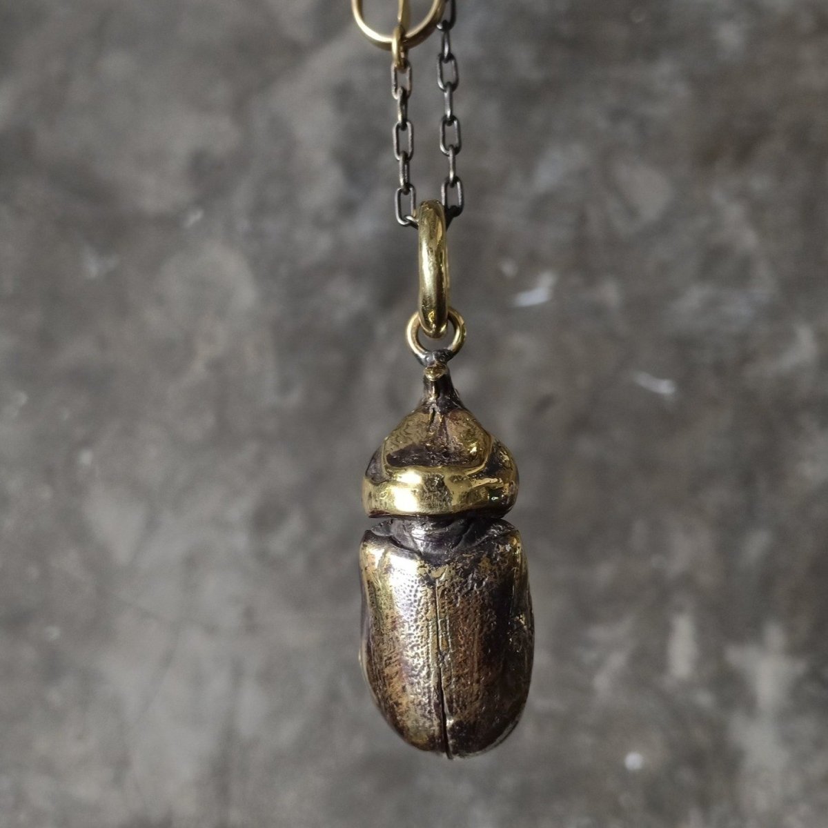 Beetle Pendant Chain Brass - eleven44